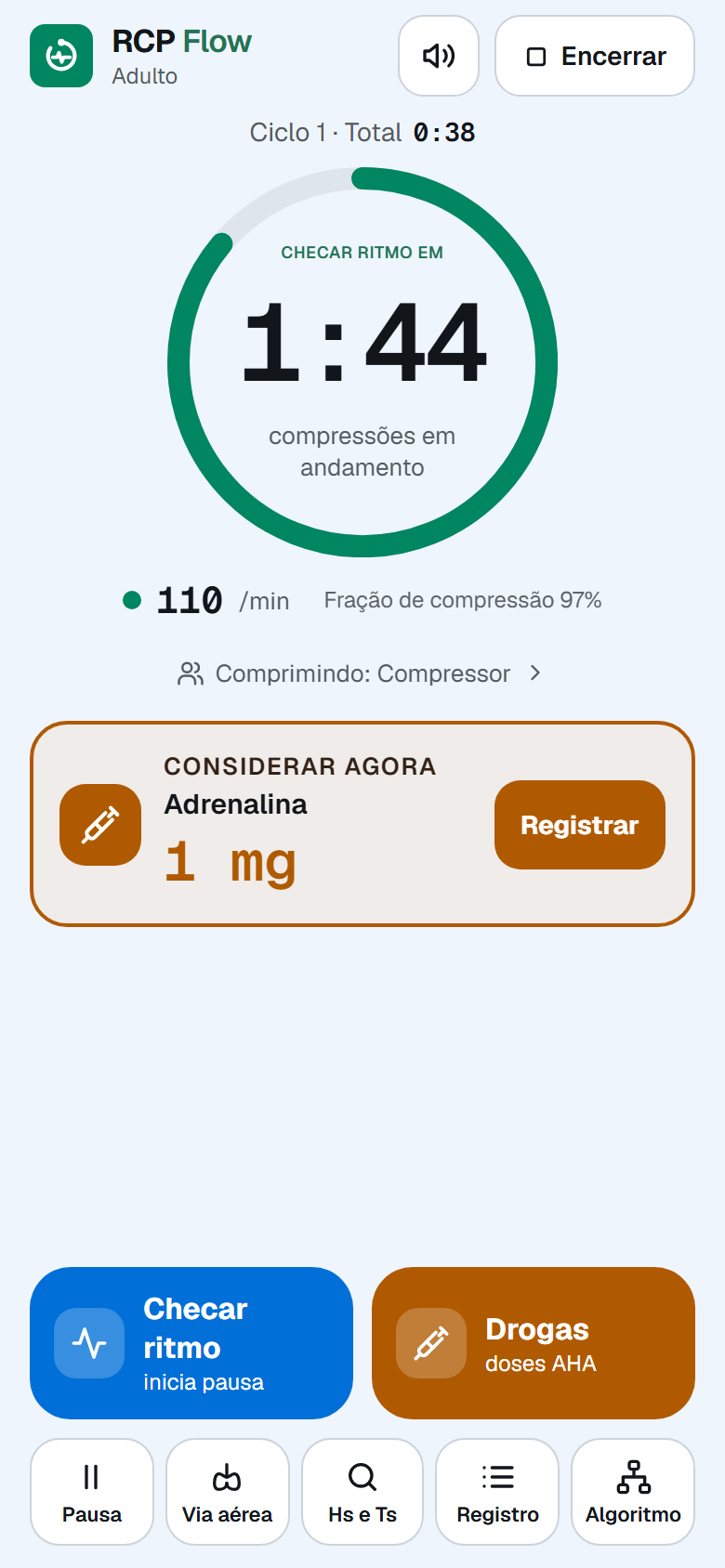 Sugestão de adrenalina 1 mg com o botão Registrar
